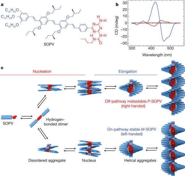Supramolecular polymers Pathway complexity in supramolecular polymerization Nature