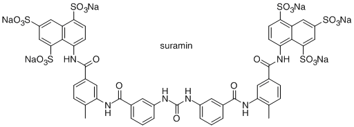 Suramin Medicinal Chemistry