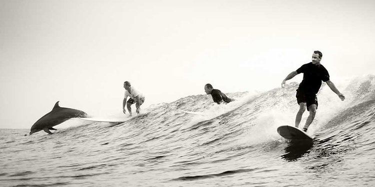 Surf culture Kenny Braun39s Incredible Photos of Texas Surf Culture Business Insider