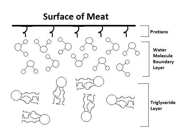 Surface chemistry of cooking