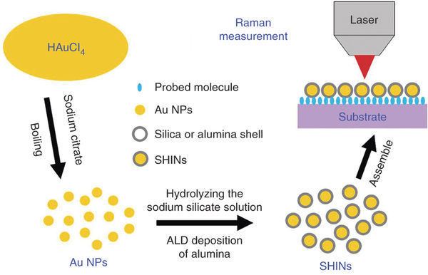 Surface-enhanced Raman spectroscopy Surface analysis using shellisolated nanoparticleenhanced Raman