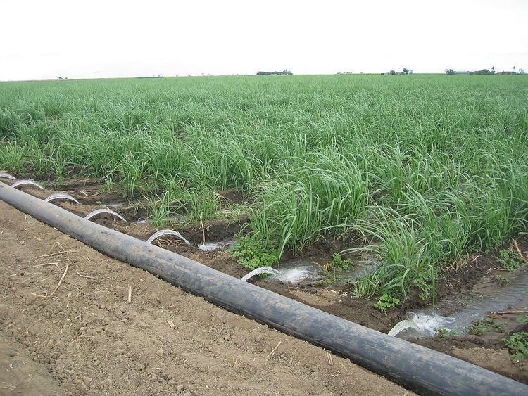 Surface irrigation