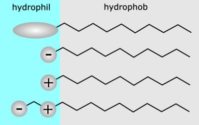 Surfactant Surfactant Wikipedia