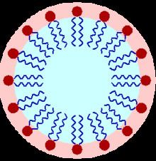 Surfactant Surfactant Wikipedia