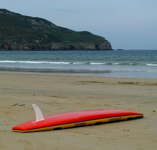 Surfboard fin