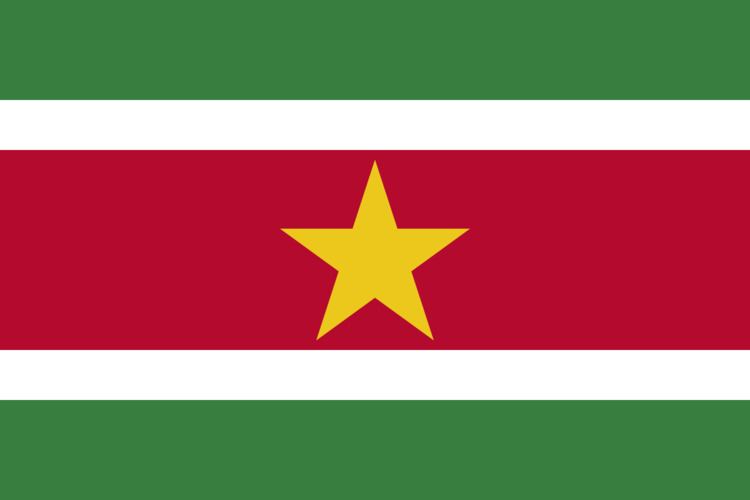 Suriname at the 2015 World Aquatics Championships