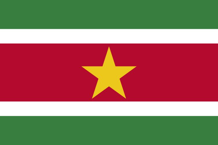 Suriname at the 2016 Summer Olympics