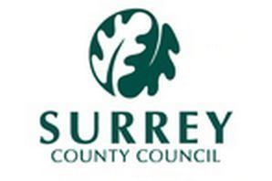 Surrey County Council i3getsurreycoukincomingarticle4706042eceALT
