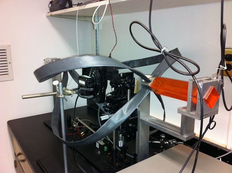 Surround Optical Fiber Immunoassay