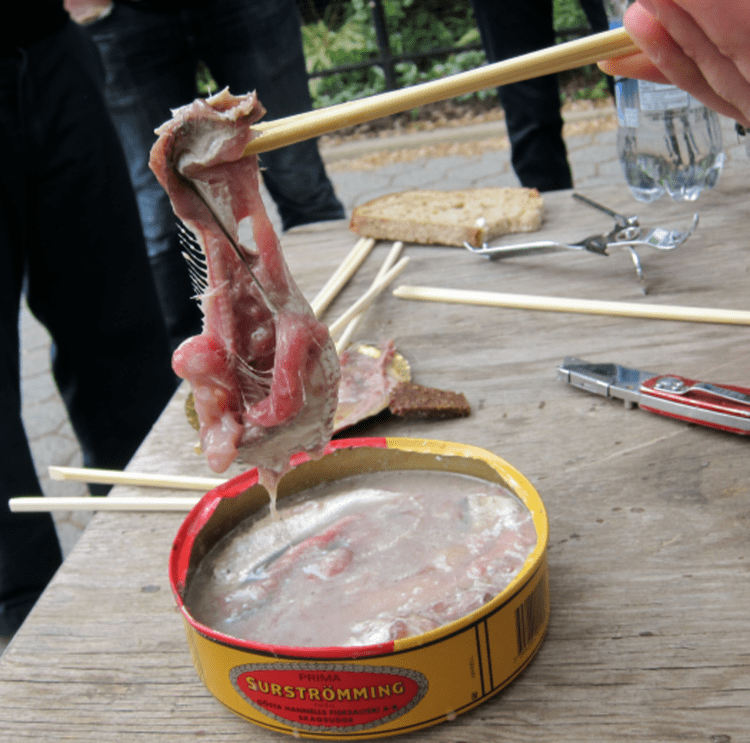 Surströmming PopSci39s Friday Lunch a Can of Surstrmming With Harold McGee