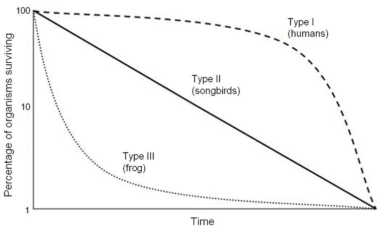 Survivorship curve - Alchetron, The Free Social Encyclopedia