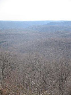 Susquehannock Trail System httpsuploadwikimediaorgwikipediacommonsthu