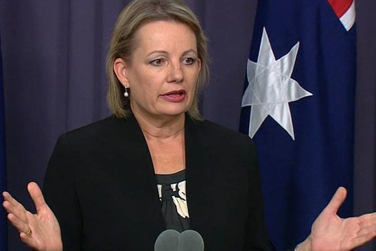 Sussan Ley Sussan Ley ABC News Australian Broadcasting Corporation
