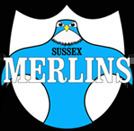 Sussex Merlins httpsuploadwikimediaorgwikipediaen664Sus