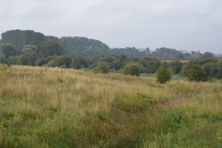 Sutton Heath and Bog