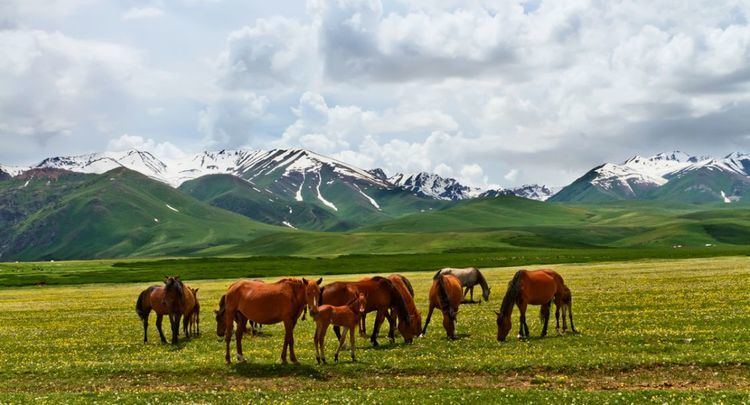 Suusamyr Valley Suusamyr Valley Trip to Kyrgyzstan