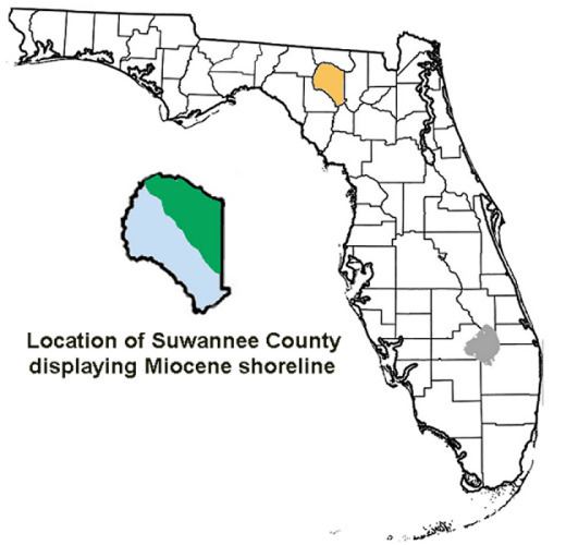 Suwannee County, Florida paleontological sites