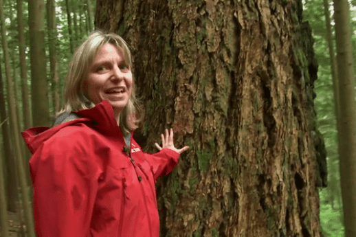 Suzanne Simard Earth to Pandora How Trees Communicate WellTree Grow Wellness