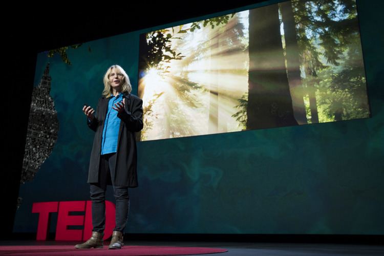 Suzanne Simard Forest for the trees Suzanne Simard at TEDSummit TED Blog
