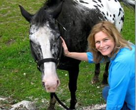 Suzanne Weyn Wildwood Stables by Suzanne Weyn Scholasticcom