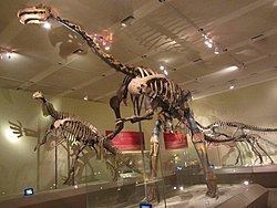 Suzhousaurus - Alchetron, The Free Social Encyclopedia