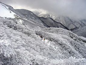 Suzuka Quasi-National Park httpsuploadwikimediaorgwikipediacommonsthu