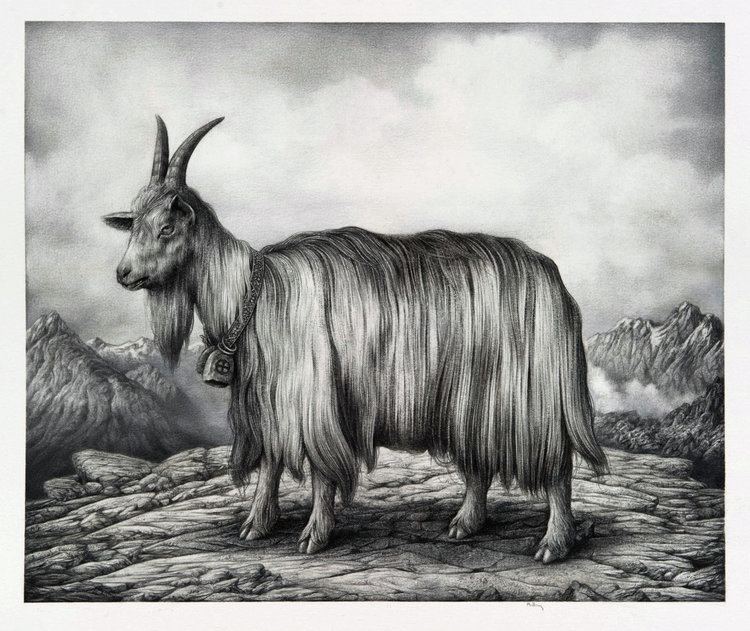 Norwegian mountain goat by Sverre Malling