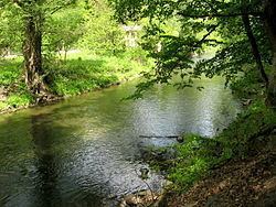 Svitava (river) httpsuploadwikimediaorgwikipediacommonsthu