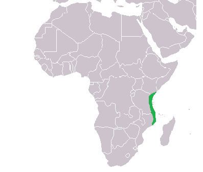 Swahili coast httpsuploadwikimediaorgwikipediacommons77