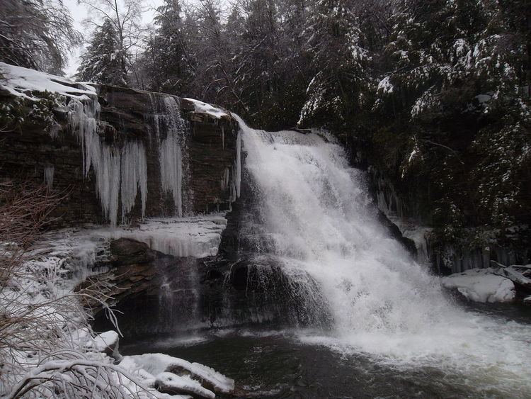 Swallow Falls State Park - Alchetron, the free social encyclopedia