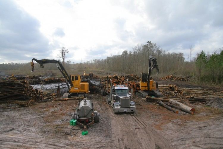 Swamp Loggers Home Goodsons All Terrain Logging Inc