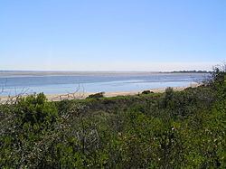 Swan Bay httpsuploadwikimediaorgwikipediacommonsthu