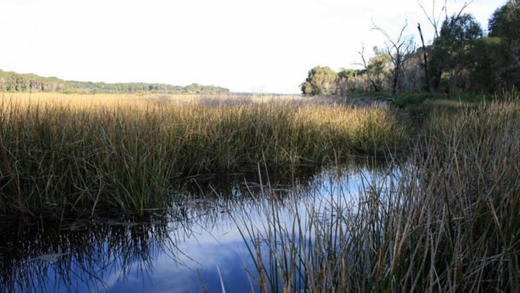 Swan Coastal Plain museumwagovausitesdefaultfilesimagecachewa