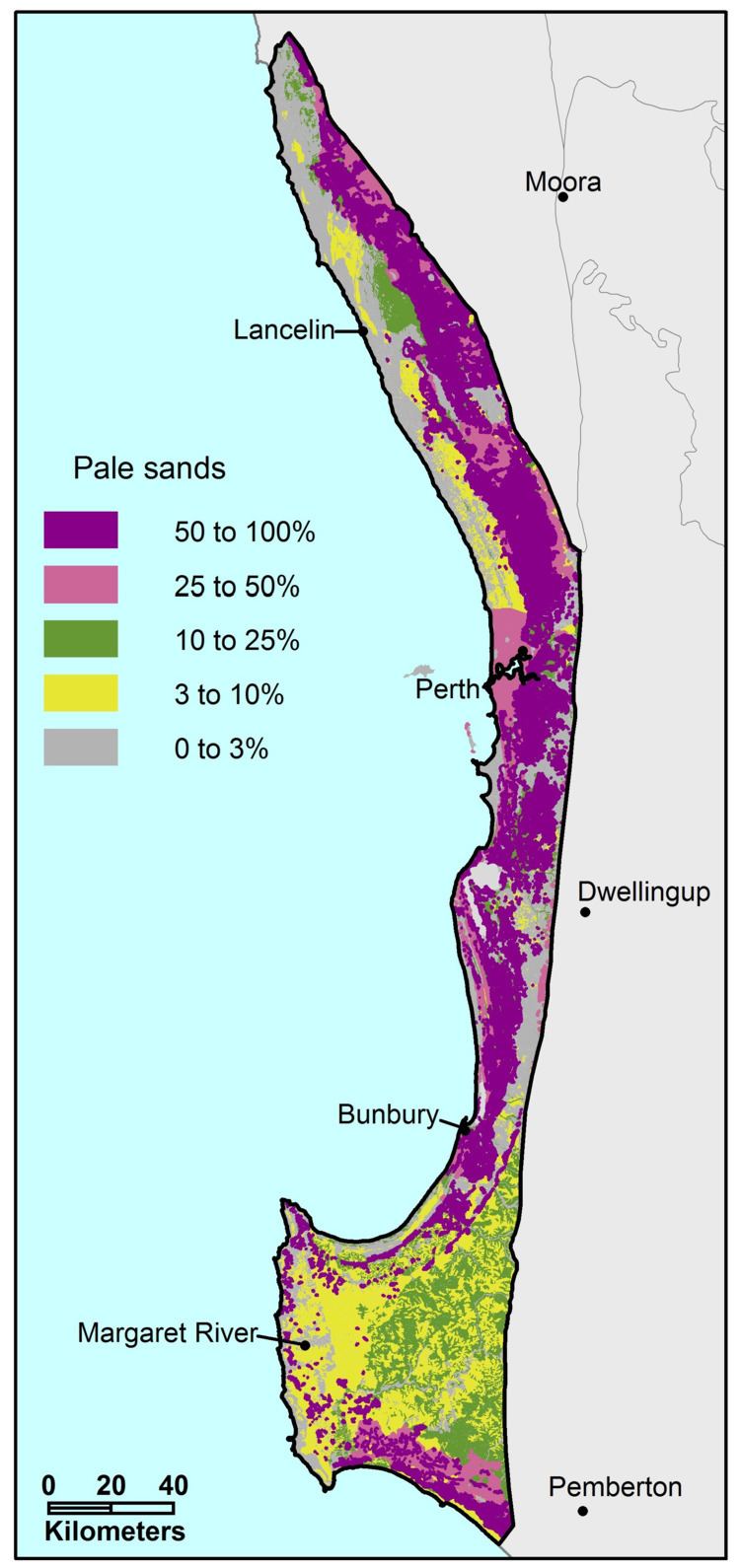 Swan Coastal Plain MySoil Pale deep sands Swan Coastal Plain Department of