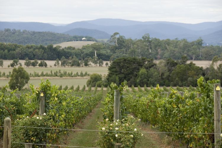 Swan Hill wine region