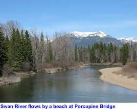 Swan River (Montana) wwwbigskyfishingcomRiverFishingNWMTRiversS