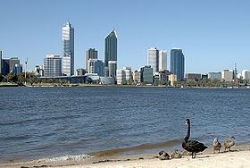Swan River (Western Australia) httpsuploadwikimediaorgwikipediacommonsthu