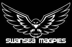Swansea Magpies httpsuploadwikimediaorgwikipediaen882Swa