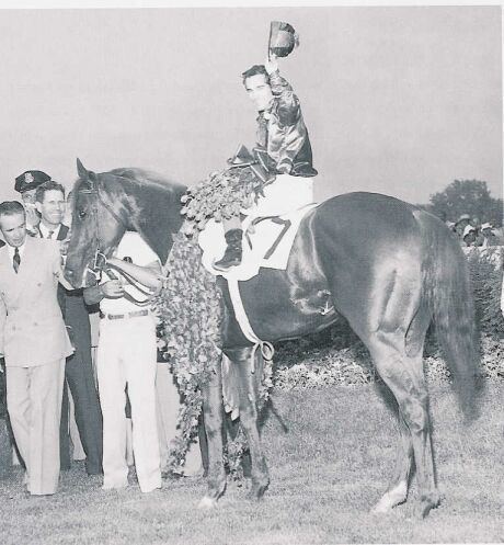 Swaps (horse) Swaps 1956 Horse of the Year