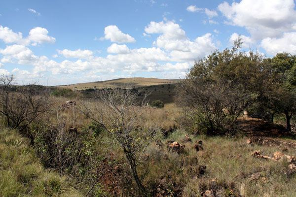 Swartkrans Fossil sites in the Cradle of Humankind Swartkrans News