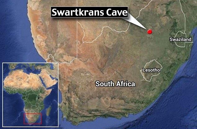 Swartkrans World39s oldest example of a human cancer tumour found in 17myear