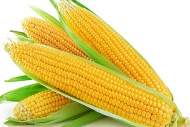 Sweet corn Sweet Corn Sweet Corn Suppliers and Manufacturers at Alibabacom