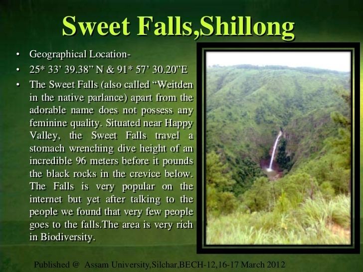 Sweet Falls Beauty Of Sweet Falls Shillong by Vivek Kumar Scientist