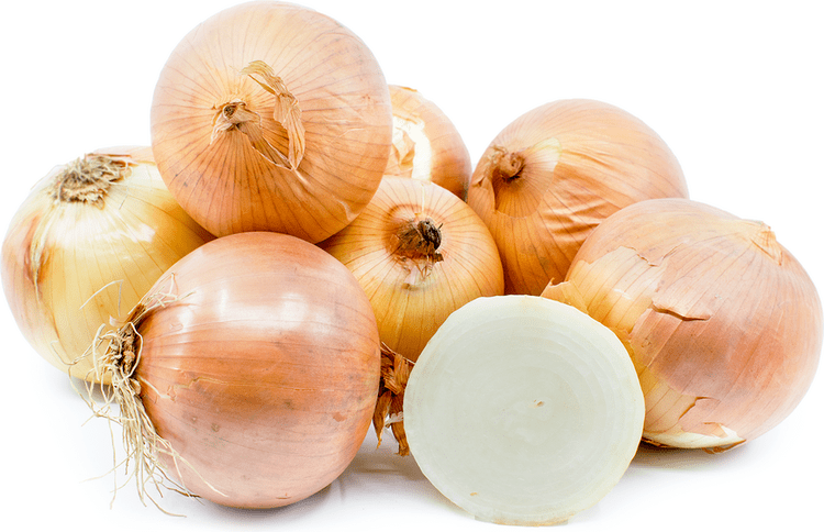 Sweet onion Sweet Texas Onions 1015 Information Recipes and Facts