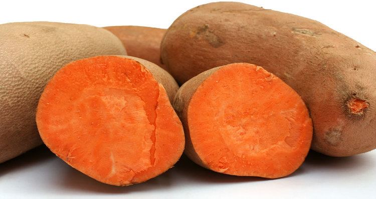 Sweet potato Round Plains Plantation amp Ontario Sweet Potatoess Round Plains