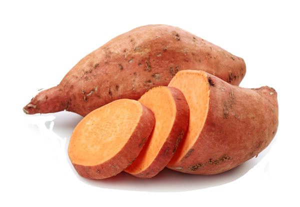 Sweet potato sweet potato Morning Ag Clips
