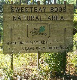 Sweetbay Bogs Preserve httpsuploadwikimediaorgwikipediacommonsthu