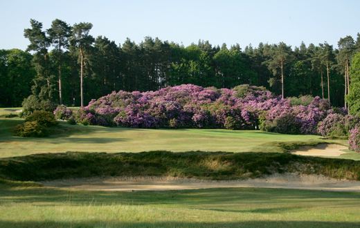 Swinley Forest Golf Club Swinley Forest Golf Club National Club Golfer