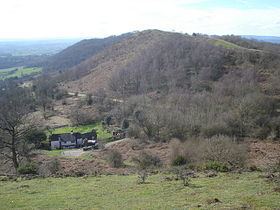 Swinyard Hill httpsuploadwikimediaorgwikipediacommonsthu
