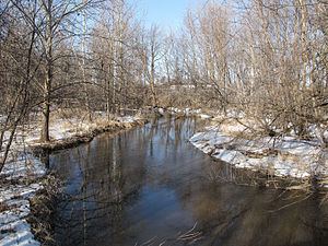 Sycamore Creek (Michigan) httpsuploadwikimediaorgwikipediacommonsthu